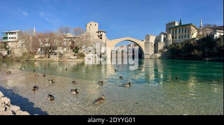 Stari Most (Vieux Pont) paysage panaroma avec les canards sauvages de la ville de Mostar en Bosnie Banque D'Images