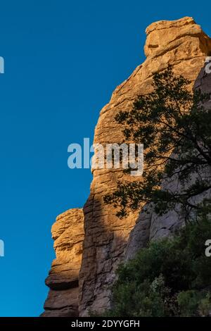 Pinnacles de roche faites de rhyolite volcanique érodée dans le monument national de Chiricahua, Arizona, États-Unis Banque D'Images