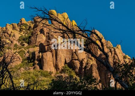 Pinnacles de roche faites de rhyolite volcanique érodée dans le monument national de Chiricahua, Arizona, États-Unis Banque D'Images