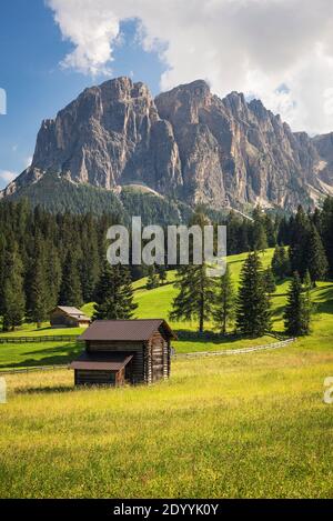 Huttes de foin en bois sur une prairie alpine fleurie dans la vallée de Zwischenkofel et les parois rocheuses du Somamunt des montagnes Puez-Geisler, Tyrol du Sud Banque D'Images