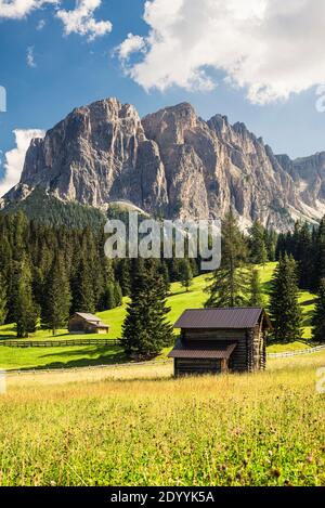 Huttes de foin en bois sur une prairie alpine fleurie dans la vallée de Zwischenkofel et les parois rocheuses du Somamunt des montagnes Puez-Geisler, Tyrol du Sud Banque D'Images