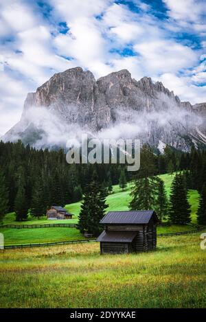 Brume matinale sur des huttes de foin en bois sur un alpin en fleurs Pré à la vallée de Zwischenkofel et le mont Somamunt de la Puez-Geisler Banque D'Images