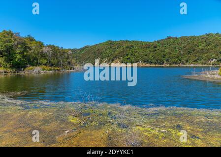 Lac de Rotomahana près de Rotorua, Nouvelle-Zélande Banque D'Images