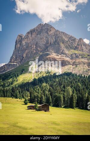 Huttes de foin en bois sur une prairie alpine d'été en face des parois rocheuses du Peitlerkofel, Dolomites, Tyrol du Sud, Italie Banque D'Images