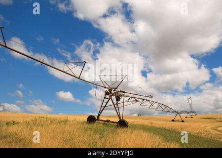 Matériel d'irrigation dans le domaine agricole Banque D'Images