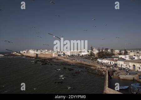 Panorama de la vieille ville d'Essaouira au Maroc. Banque D'Images