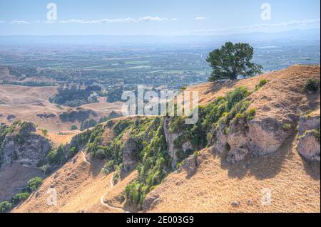 Pic de te Mata près de Hastings, Nouvelle-Zélande Banque D'Images