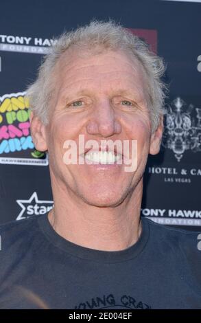 Bill Walton participe au 10e avantage annuel de Tony Hawk's Stand Up for Skateparks à Los Angeles, CA, États-Unis, le 5 octobre 2013. Photo de Lionel Hahn/ABACAPRESS.COM Banque D'Images