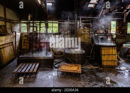 Yasuhisa Serizawa dans Nishiizu-Cho la fabrication Katsuobushi, Shizuoka, Japon Banque D'Images