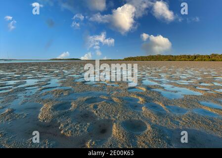 Vue panoramique sur Rainbow Beach à marée basse, Queensland, Queensland, Queensland, Australie Banque D'Images