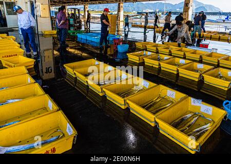 Vente aux enchères du poisson dans Yaidu, Japon Banque D'Images