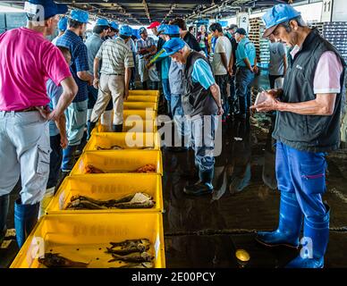 Vente aux enchères du poisson dans Yaidu, Japon Banque D'Images