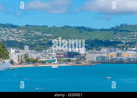 Plage de la baie orientale à Wellington, Nouvelle-Zélande Banque D'Images