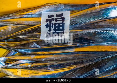 Vente aux enchères du poisson dans Yaidu, Japon Banque D'Images