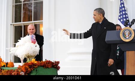 Le président américain Barack Obama pardons le Popcorn de la Turquie de Thanksgiving 2013 lors d'un événement de North Portico le 27 novembre 2013 à la Maison Blanche à Washington, DC, USA. Photo par Olivier Douliery/ABACAPRESS.COM Banque D'Images