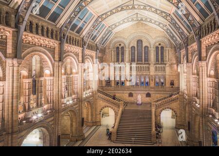 Londres, Royaume-Uni - décembre 23 2014 - l'intérieur spectaculaire du Musée d'Histoire naturelle, à Londres, en Angleterre. Banque D'Images