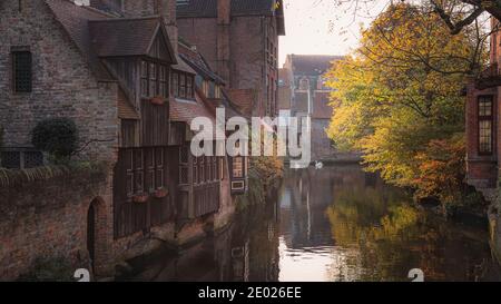 Une paire de cygnes profitent d'un paisible flotter sur un canal calme à Bruges, en Belgique, le jour de l'automne Banque D'Images