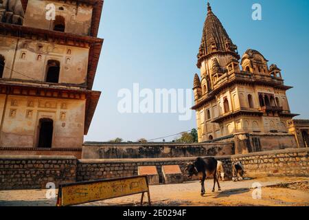 Les Cenotaphs royaux (Chhatris), ruines à Orcha, Inde Banque D'Images