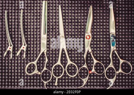 Ciseaux coiffeur, salon, coupe de cheveux. Ciseaux pour une coiffure. Des outils pour le salon de coiffure Banque D'Images