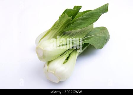 Pakcoy moutarde ou bok choy isolé sur fond blanc Banque D'Images