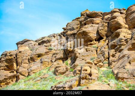 Aigle à barbe ou Buzzard à long pattes ou Buteo rufinus. Banque D'Images