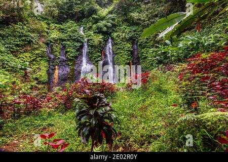 Chute d'eau Banyu Wana Amertha. Buleleng, Bali, Indonésie. Banque D'Images