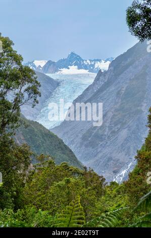 Fox glacier en Nouvelle Zélande Banque D'Images