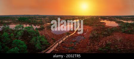 Coucher de soleil sur tourbière avec chemin en bois, petits étangs et pins. Coucher de soleil coloré sur le marais. Banque D'Images