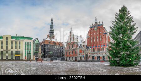 Place de la mairie avec Maison des Blackheads et arbre de Noël en hiver, vieille ville de Riga, Lettonie Banque D'Images