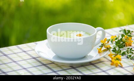 Thé au chrysanthème dans une tasse en céramique blanche sur la soucoupe, fleurs jaunes sur la table, fond vert flou Banque D'Images