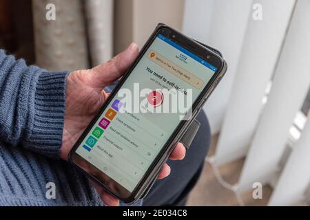 L'application NHS Covid sur un smartphone affiche un avertissement d'auto-isolation, femme senior tenant l'appareil, Royaume-Uni Banque D'Images