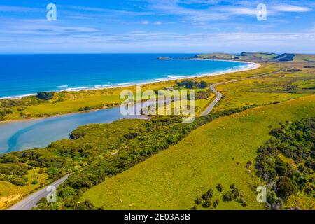 Baie de marsouin dans la région de Caitlins en Nouvelle-Zélande Banque D'Images