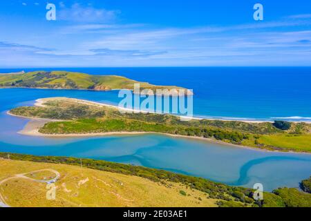 Baie de marsouin dans la région de Caitlins en Nouvelle-Zélande Banque D'Images