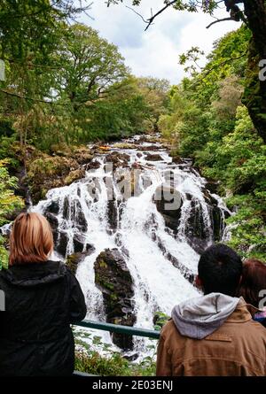 Les visiteurs au point de vue des chutes Swallow sur la rivière Llugwy en observant les canoéistes naviguer sur le sommet rocheux de la chute d'eau. Betws-y-Coed, Conwy Banque D'Images