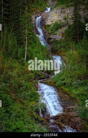 Cascade située le long du sentier menant au mont Bourgeau, parc national Banff, Alberta, Canada Banque D'Images