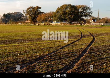 Windsor, Berkshire, Royaume-Uni. 6 novembre 2020. Une journée automnale à Eton Wick, près de Windsor, le deuxième jour du second confinement de Covid-19. Le nombre de cas positifs de Covid-19 augmente à Windsor et à Maidenhead et ailleurs en Angleterre et il y a des inquiétudes que la pandémie s'aggravera au cours de l'hiver, ce qui exerce des pressions sur le NHS. Crédit : Maureen McLean/Alay Banque D'Images