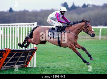 Bravemansgame, monté par Harry Cobden, remporte la dernière fois l'obstacle des novices MansionBet Challow à l'hippodrome de Newbury. Banque D'Images