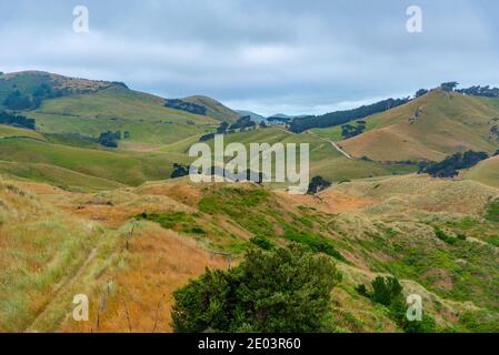 Paysage de la péninsule d'Otago près de Dunedin, Nouvelle-Zélande Banque D'Images