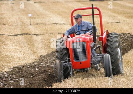 Ancien tracteur Massey Ferguson 35 lors d'un labour de tracteur d'époque Concurrence dans le nord-est de l'Angleterre Banque D'Images