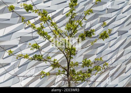 Détail de la façade du Titanic Belfast dans la ville Quartier Titanic Banque D'Images