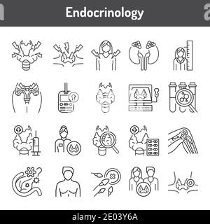 Jeu d'icônes de ligne de couleur Eendocrinologie. Pictogrammes pour la page Web, l'application mobile, la promotion. Élément de conception UI UX GUI. Contour modifiable. Illustration de Vecteur