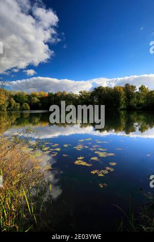 Couleurs d'automne sur le lac à Barnwell Country Park, Castel Guelfo di Bologna ville, Northamptonshire, England, UK Banque D'Images