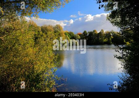 Couleurs d'automne sur le lac à Barnwell Country Park, Castel Guelfo di Bologna ville, Northamptonshire, England, UK Banque D'Images