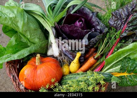 Légumes dans un panier DROITS du Royaume-Uni ET DE L'IRLANDE UNIQUEMENT - AUTRES DROITS CONTACTER EWASTOCK.COM Banque D'Images