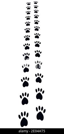 Paw Trail, paw imprime des empreintes de chien de chat animal, perspective de chemin d'accès vecteur Illustration de Vecteur