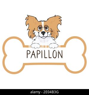 Mignon dessin animé papillon sur collier chien tag clipart vecteur. Médaille d'identification de chien de race pure pour l'ID d'animal de compagnie Chien domestique pour chien d'animal de compagnie. Illustration de Vecteur