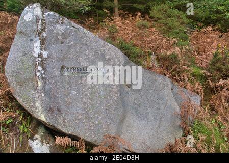 Co. Dublin, Irlande - 21 novembre 2020 : magnifique vue de la fin de l'automne sur O'Connell's Rock le long de Cruagh Road près de Tibradden Mountain. Archéologique Banque D'Images