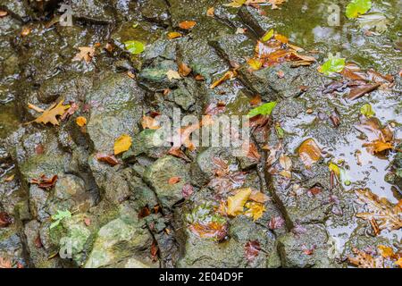 Princess Waterfalls Niagara escarpement Chedoke Radial Trail Hamilton Ontario Canada Banque D'Images