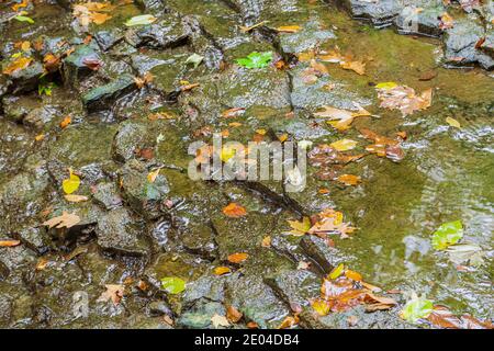 Princess Waterfalls Niagara escarpement Chedoke Radial Trail Hamilton Ontario Canada Banque D'Images