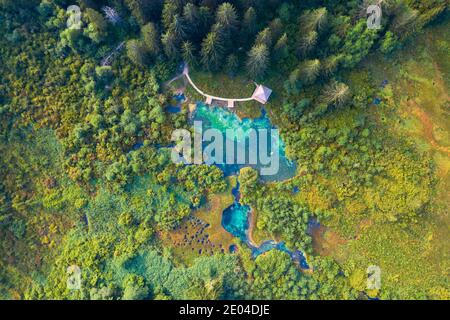 Vue aérienne d'une forêt avec lac. Zelenci, Kranjska gora, Slovénie Banque D'Images